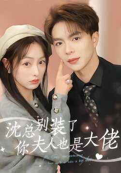 沈总别装了你夫人也是大佬海报