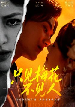 只见梅花不见人海报