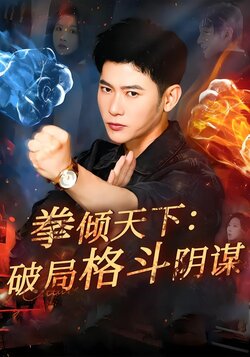 拳倾天下：破局格斗阴谋海报