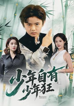 少年自有少年狂海报