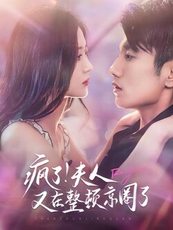 疯了！夫人又在整顿京圈了海报