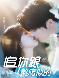 追你跟熬鹰似的海报
