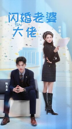 闪婚老婆是大佬