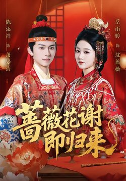 蔷薇花谢即归来海报