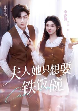 夫人她只想要铁饭碗海报