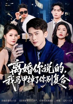 离婚你说的，我马甲掉了你别复合海报