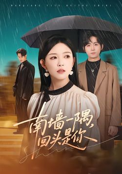 南墙一隅，回头是你海报