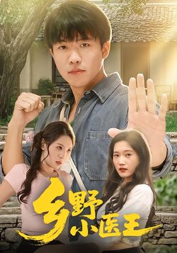 乡野小医王海报