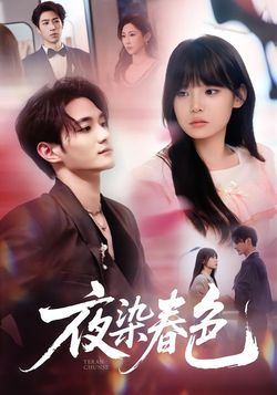 夜染春色海报