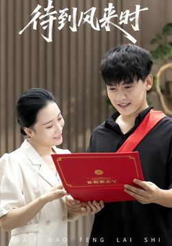 待到风来时