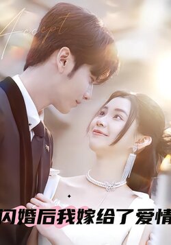 闪婚后我嫁给了爱情