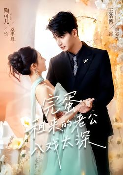 完蛋租来的老公入戏太深海报