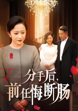 分手后，前任悔断肠海报
