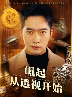 崛起从透视开始海报