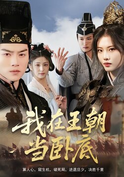我在王朝当卧底海报