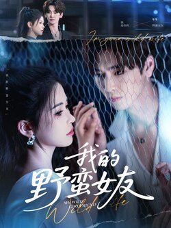我的野蛮女友海报