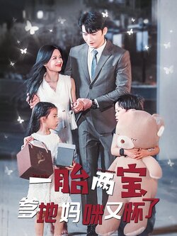 一胎两宝: 爹地妈咪又怀了