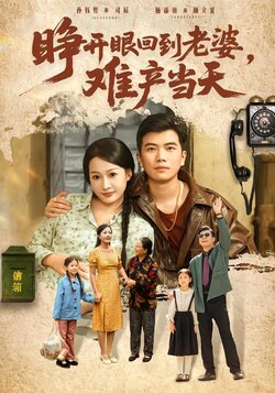 睁开眼，回到老婆难产当天海报