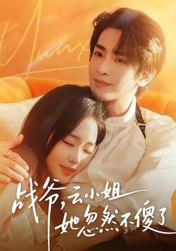 战爷，云小姐她忽然不傻了