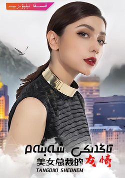 美女总裁的友情