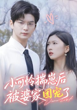 小可怜揣崽后被婆家团宠了海报