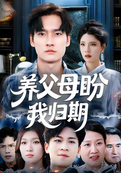 养父母盼我归期海报