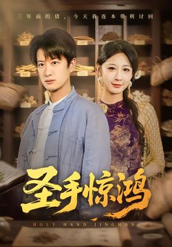 圣手惊鸿海报