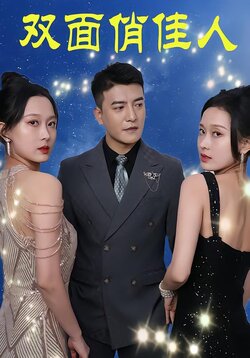 双面俏佳人海报