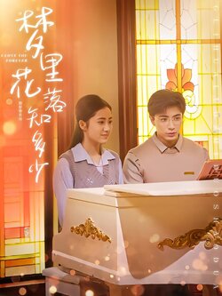 梦里花落知多少