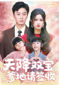 天降双宝爹地请签收