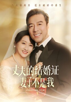 丈夫的结婚证妻子不是我海报