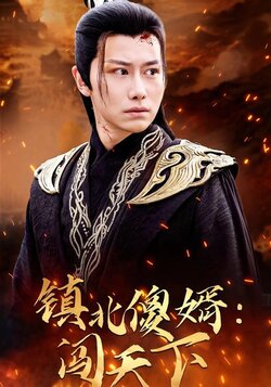 镇北傻婿闯天下海报