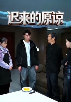 迟来的原谅海报