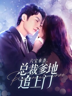 六宝来袭，总裁爹地追上门海报