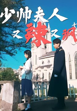 少帅夫人又辣又飒