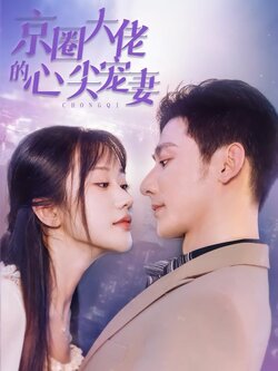 京圈大佬的心尖宠妻海报