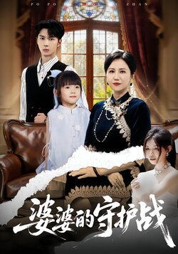 婆婆的守护战海报