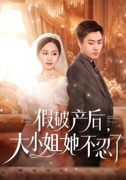 假破产后，大小姐她不忍了海报