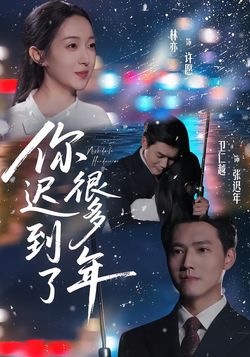 你迟到了很多年海报