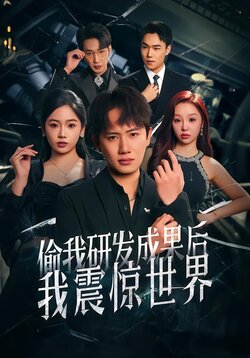 偷我研发成果后，我震惊世界海报