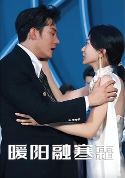 暖阳融寒霜海报