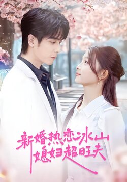 新婚热恋冰山媳妇超旺夫