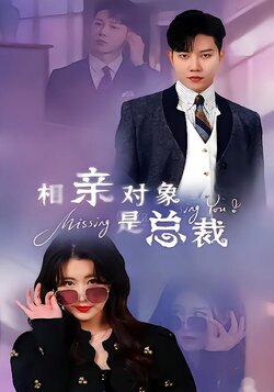 相亲对象是总裁海报