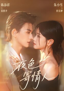 夜色寄情人海报