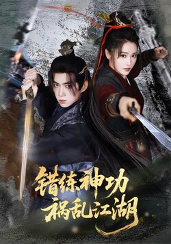 错练神功，祸乱江湖海报