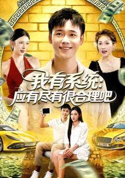 我有系统:应有尽有很合理吧海报