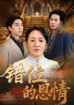 错位的恩情海报