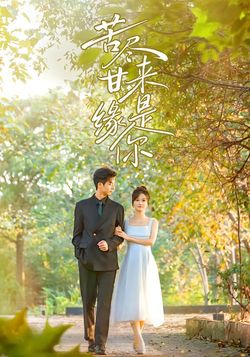 苦尽甘来缘是你海报