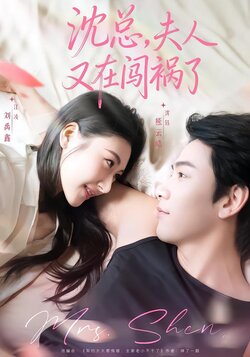 沈总，夫人又在闯祸了海报