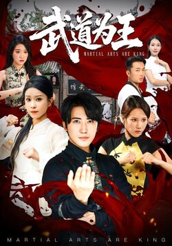 武道为王海报